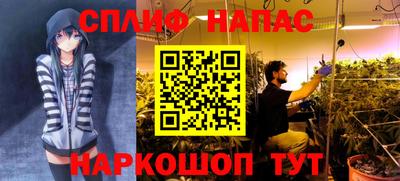 крисы Тара