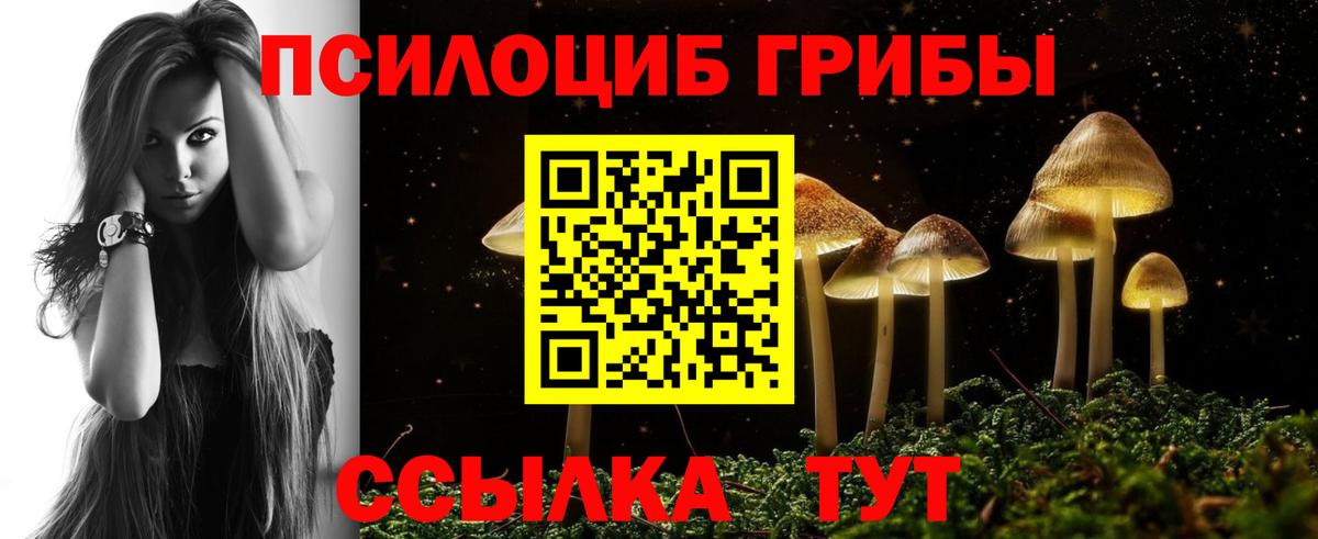 Советский  Псилоцибиновые грибы GOLDEN TEACHER  Вход с VPN 